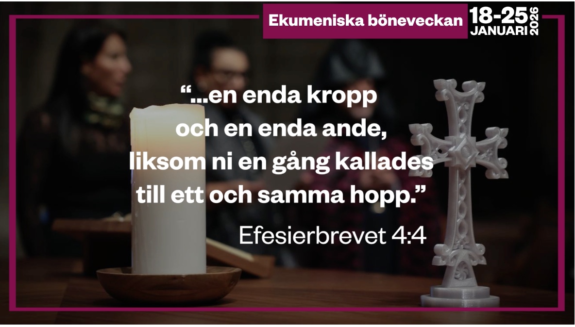 Ekum böneveckan